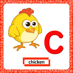 Letter C Lowercase. Alphabet letter C with funny Chicken isolated on white background. Cute colorful Zoo and animals ABC alphabet in cartoon style. Education card for kids learning English vocabulary.