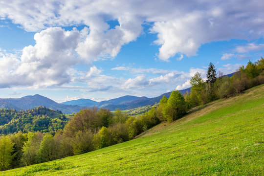 stunning rural landscape in mountains. fields and meadows on hills rolling in to the distant ridge. trees in fresh green foliage. nature scenery on a sunny day in spring. fluffy clouds on the sky