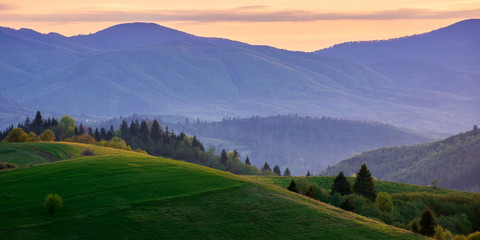 Fototapeta na wymiar panoramic mountainous countryside in springtime at dusk. trees on the rolling hills. ridge in the distance. clouds on the sky. wonderful rural landscape of carpathians