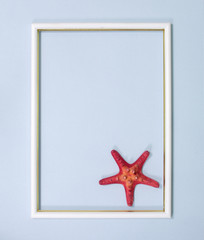 sea shells and red starfish on a blue copyspace background