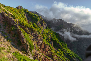 Fototapeta na wymiar green Madeira Island