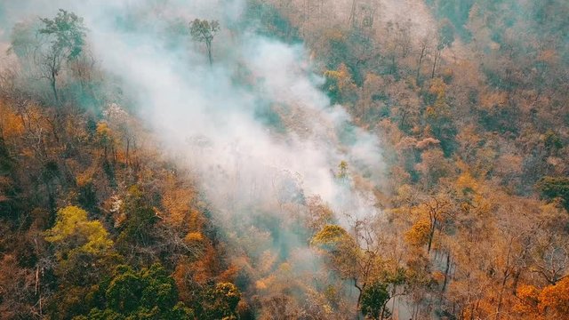 Smog of forest fires. Deforestation and Climate crisis. Toxic haze from rainforest fires. Aerial video 4k.