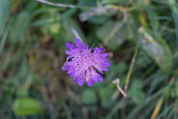 Scenery Bohi valley in Lleida Catalunya Spain