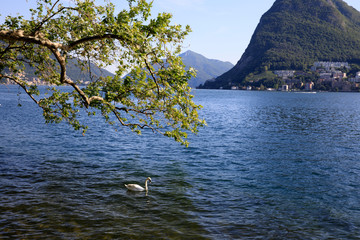 Lugano / Switzerland - June 01, 2019: Lugano lake view, Lugano, Switzerland, Europe