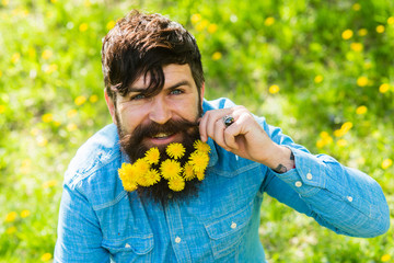 dandelion. barber and hairdresser. Floral fashion and beauty. bearded hipster enjoy sunny day....