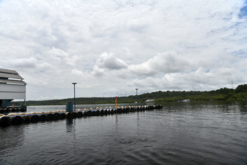 views of the river channel in the Amazon jungle in Brazil