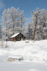 Winter landscape with snow covered trees, Lake Baikal, Siberia, Russia