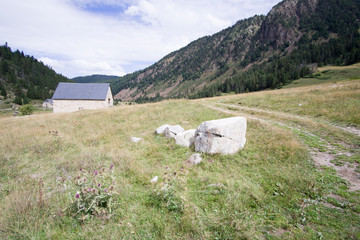 Bahns de Tredos Pyrenees landscape Aran valley Lleida Catalunya Spain