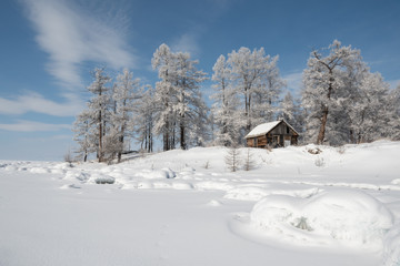 Winter landscape with snow covered trees, Lake Baikal, Siberia, Russia