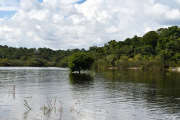 views of the river channel in the Amazon jungle in Brazil