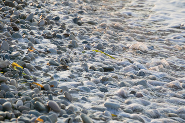 Beach sunset abstract background shoreline