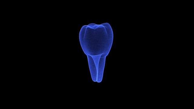 Hologram of a rotating tooth. 3D animation of human molar on a black background with a seamless loop