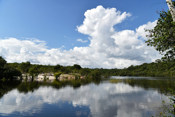 Obraz na płótnie Canvas views of the river channel in the Amazon jungle in Brazil