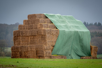  straw rent, as big as a house, stands on the field covered with a green tarp