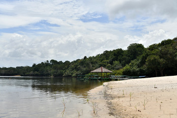 river beach in amazon natural park in brazil
