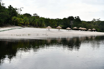 Fototapeta na wymiar river beach in amazon natural park in brazil