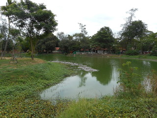 タイ、アユタヤ、池