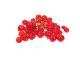 red currant isolated on white background