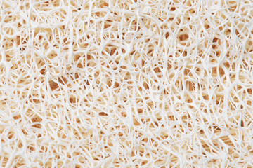 Closeup on a luffah massage sponge