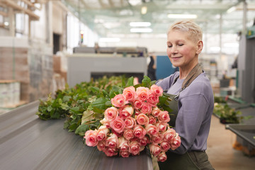 Mature woman with short hair preparing fresh young roses for sale she picking them up in bunches