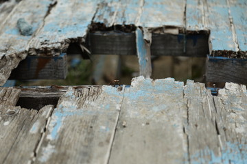 old wooden board close up