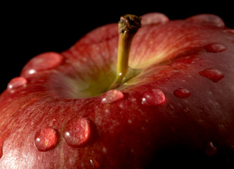 Closeup view for red fresh apple with water drop on the top