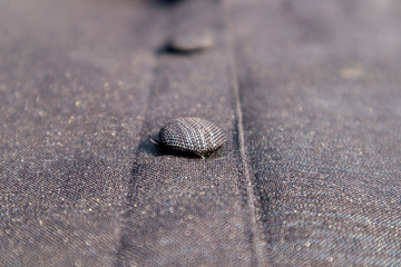 Buttons on a black shirt.