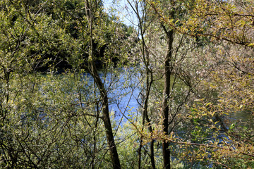 Fototapeta premium Castano Primo (MI), Italy - June 05, 2017: Ticino River, Castano Primo, Lombardy, Italy