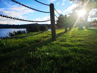 sun's rays on the grass in a park