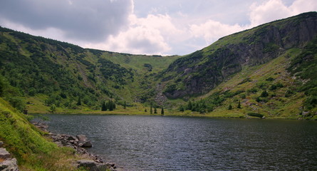 The Small Pond - mały staw