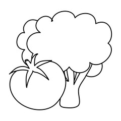 fresh broccoli with tomato vegetables vector illustration design
