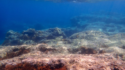 Greece Crete island South Crete Plakias beach