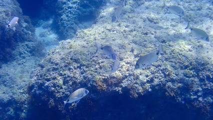 Greece Crete island South Crete Plakias beach