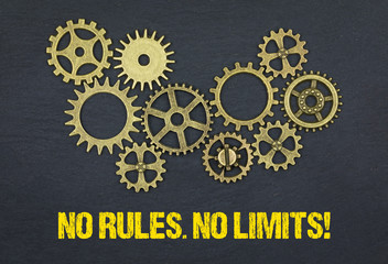 No Rules. No Limits!