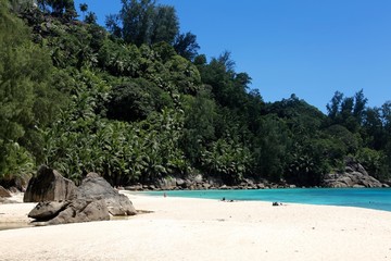 Fototapeta na wymiar plage de mahé, Seychelles