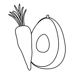 fresh carrot with avocado vegetables isolated icon vector illustration design