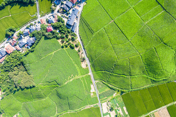 Obraz premium farmland with village