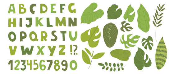 Vector green alphabet with tropical leaves, isolated on white. Cute flat alphabet and numbers. Perfect for childish poster, study guide for children, ecology design, logo, educational materials - 330124802