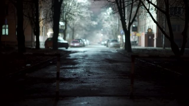 Simferopol empty city streets with street lights at night in autumn.