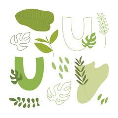 Vector flat letter U. Abstract set with green letter and tropical leaves, isolated on white. Perfect for ecology design, logo, icon, poster, sticker, print, card