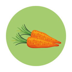 fresh carrots vegetables in frame circular vector illustration design