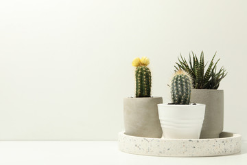 Marble tray with succulent plants on white background. Houseplants
