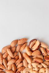 Assorted brown nuts circle on a gray background. Macadamia, cashews, minced almonds, pecans, healthy nutrition. Vertical photo with copy space