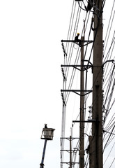 A technician team climbing and craning for electricity post to fix a problem with safety belt
