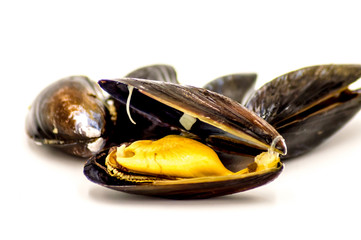 Close-Up Of Mussel
