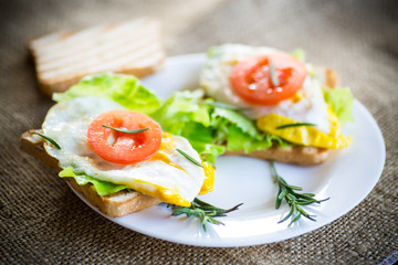 fried toasts with egg, salad, tomato in a plate