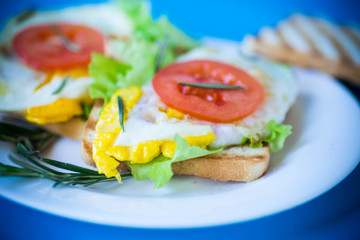 fried toasts with egg, salad, tomato in a plate