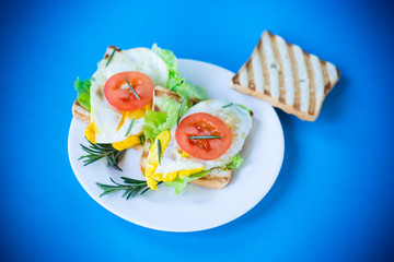 fried toasts with egg, salad, tomato in a plate