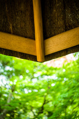 asia japan cityscape kyoto osaka