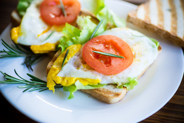 fried toasts with egg, salad, tomato in a plate